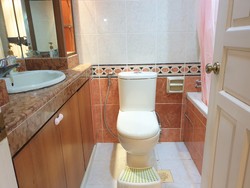 Castle Loft (D15), Apartment #202784792